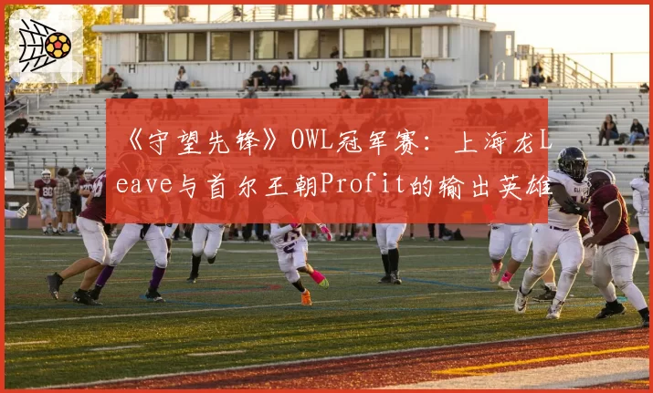 《守望先锋》OWL冠军赛：上海龙Leave与首尔王朝Profit的输出英雄池与终极技能效率对比