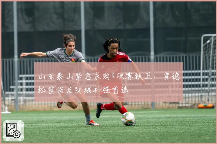 山东泰山紧急求购K联赛铁卫，贾德松重伤后防线补强首选
