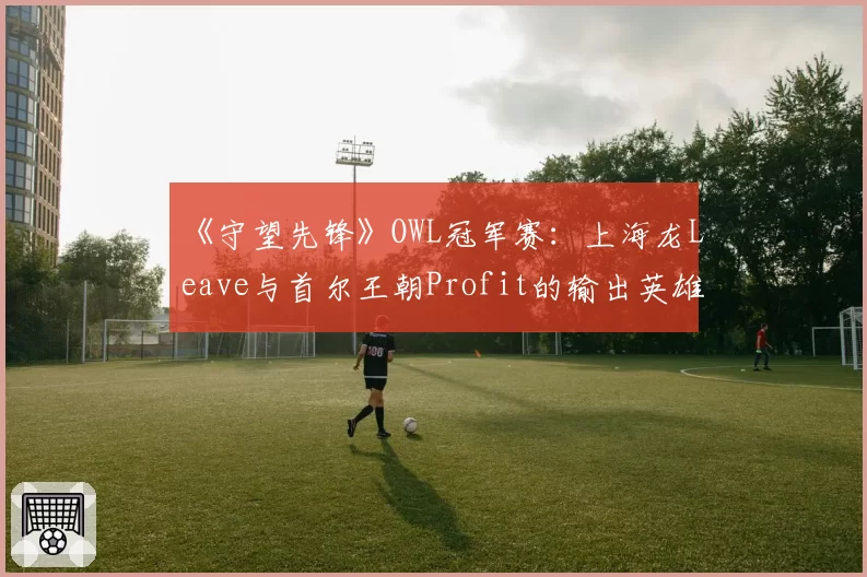 《守望先锋》OWL冠军赛:上海龙Leave与首尔王朝Profit的输出英雄池与终极技能效率对比